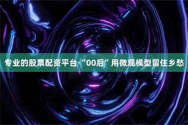 专业的股票配资平台 “00后”用微观模型留住乡愁