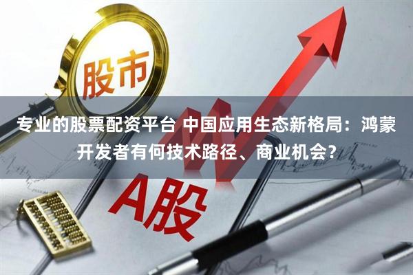 专业的股票配资平台 中国应用生态新格局：鸿蒙开发者有何技术路径、商业机会？