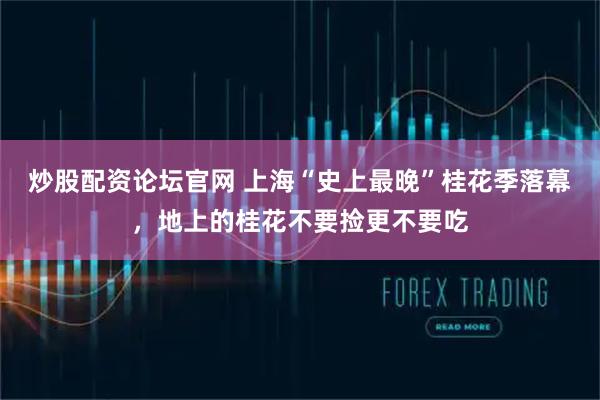炒股配资论坛官网 上海“史上最晚”桂花季落幕，地上的桂花不要捡更不要吃