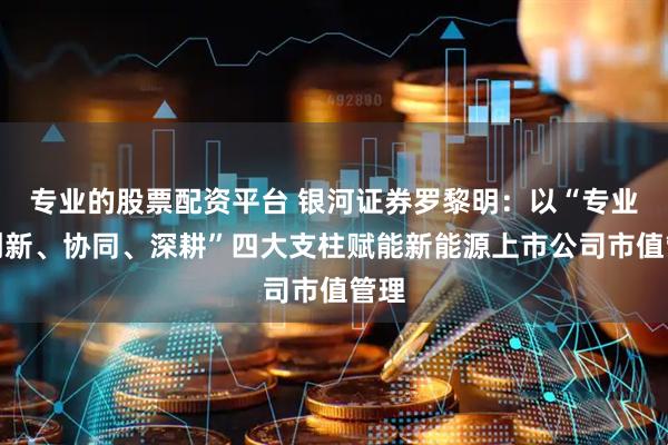 专业的股票配资平台 银河证券罗黎明：以“专业、创新、协同、深耕”四大支柱赋能新能源上市公司市值管理