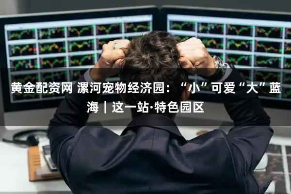 黄金配资网 漯河宠物经济园：“小”可爱“大”蓝海｜这一站·特色园区