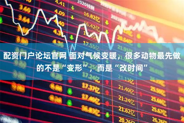 配资门户论坛官网 面对气候变暖，很多动物最先做的不是“变形”，而是“改时间”