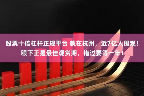 股票十倍杠杆正规平台 就在杭州,近7亿人围观!眼下正是最佳观赏期,错过要等一年!